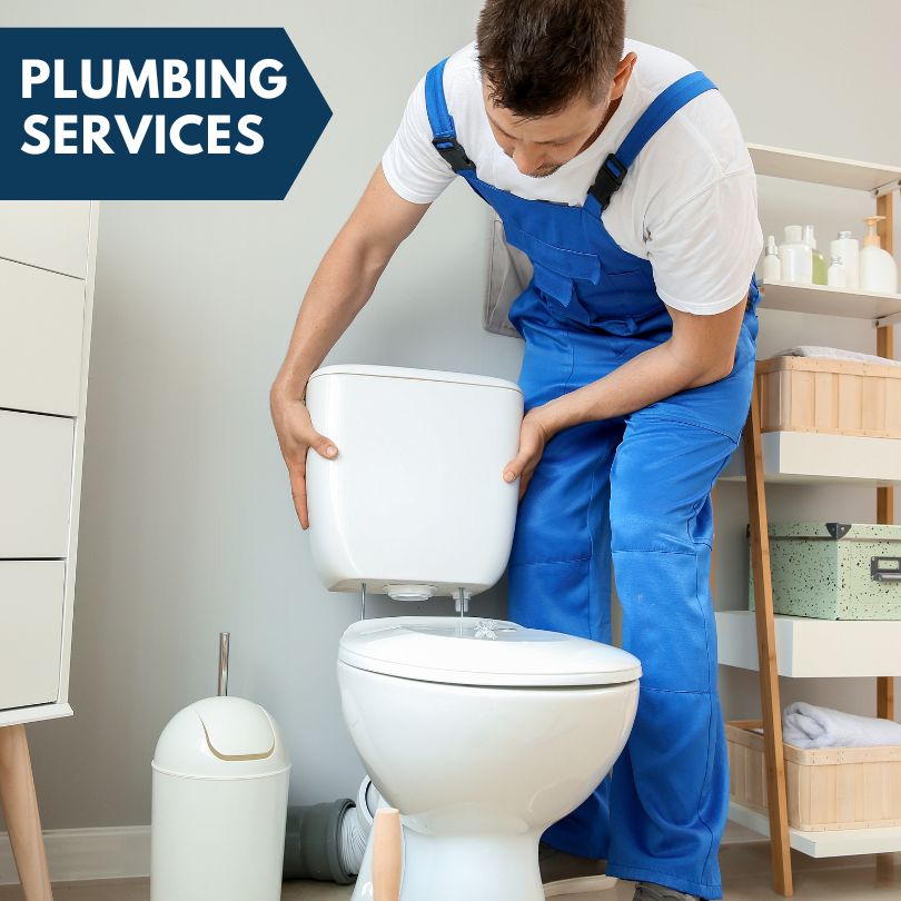 Plumbing Company in Deal Island, MD